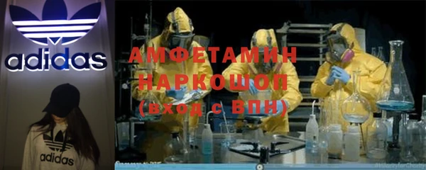 мяу мяу мука Аркадак