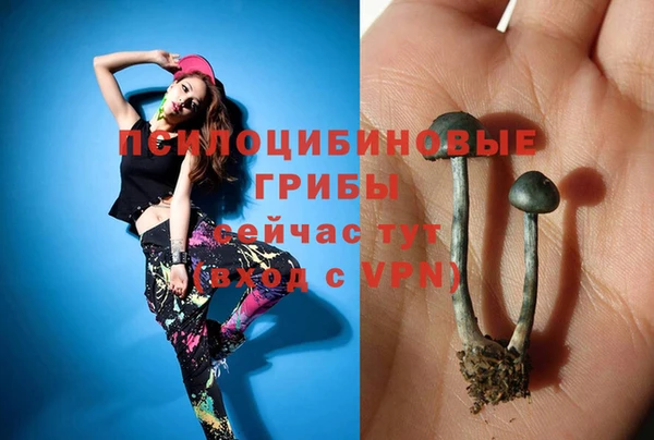 героин Арсеньев