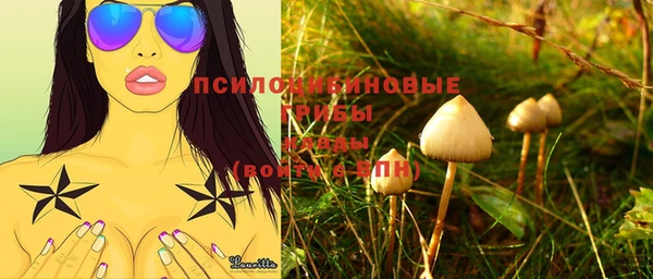 мяу мяу мука Аркадак