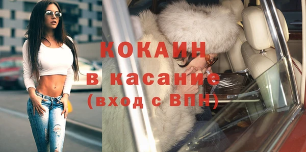 прущие грибы Армянск