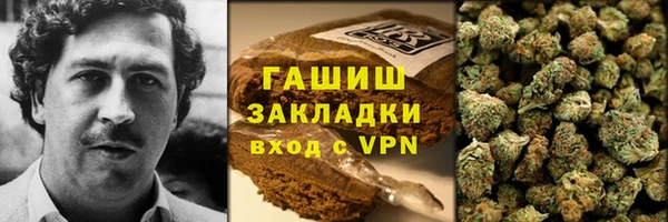 прущие грибы Армянск