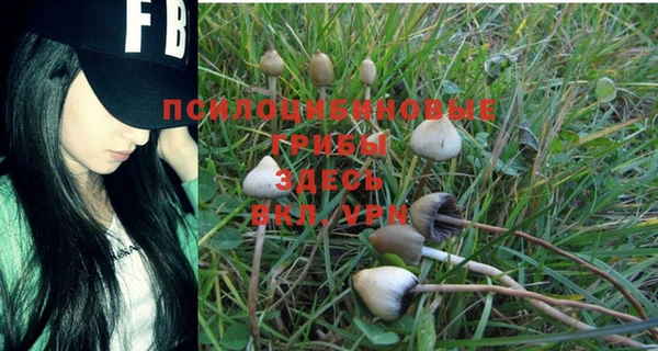 мяу мяу мука Аркадак