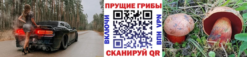 Галлюциногенные грибы мухоморы  Фатеж 